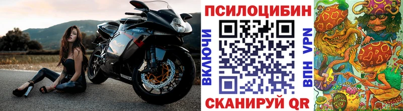 Псилоцибиновые грибы Cubensis  Севск 